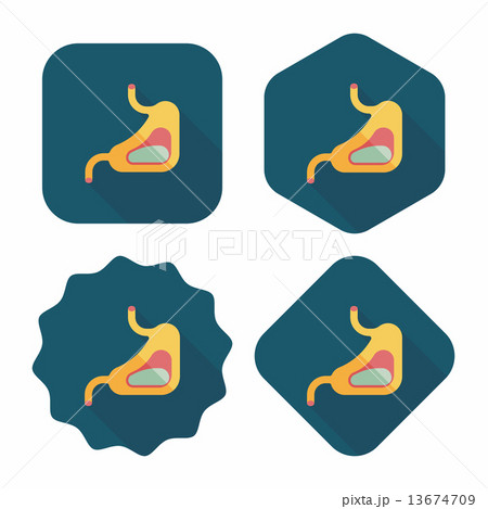 Human stomach flat icon with long shadow 13674709