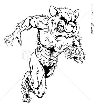 Raccoon sports mascot running 13675887