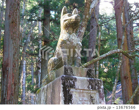 光前寺 13676566