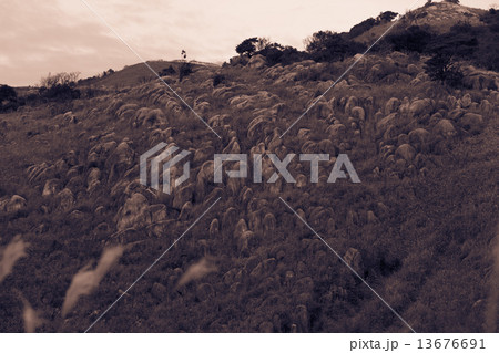 平尾台 平尾台 13676691