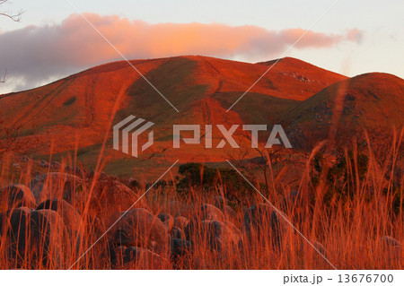 平尾台 平尾台 13676700