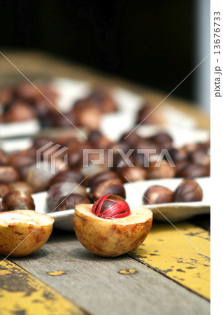 ナツメグ 13676733