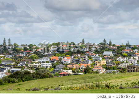 Auckland suburb 13676735