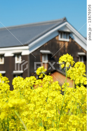 伏見の酒蔵 伏見の酒蔵 13676956