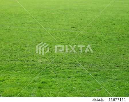 Meadow background Meadow background 13677151
