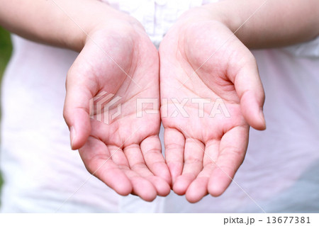 女性の両手 女性の両手 13677381