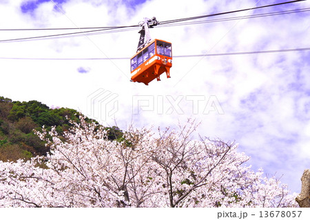 春の須磨浦山頂からロープウェイが通る 13678057