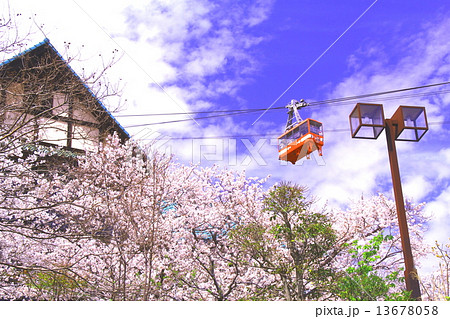 春の須磨浦山頂（神戸市須磨区）からロープウェイが通る 13678058