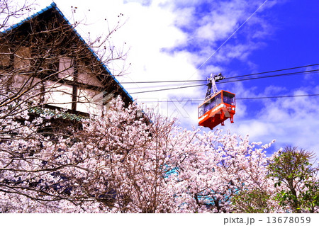 春の須磨浦山頂からロープウェイが通る 13678059
