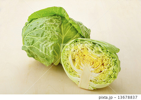 キャベツ 13678837