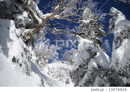 雪山 雪山 13678926