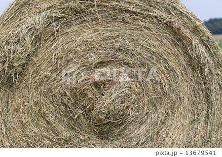 Hay rolls in a field against forest Hay rolls in a field against forest 13679541
