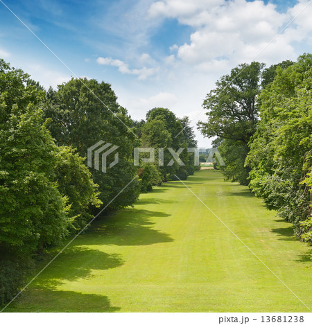 beautiful park and blue sky 13681238