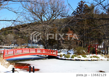 冬の公園 13682129