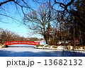 冬の公園 13682132