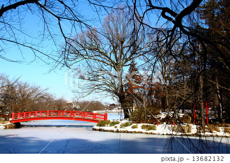 冬の公園 13682132