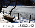 冬の公園 13682142