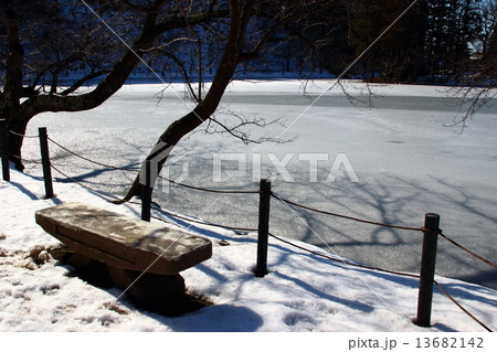 冬の公園 13682142