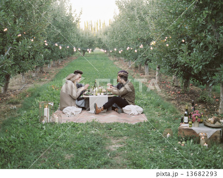 An apple orchard in Utah. Group of people having a picnic on the grass. 13682293