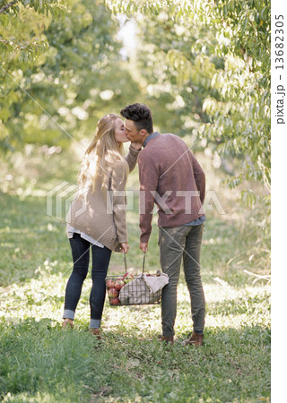 An apple orchard in Utah. Couple carrying a basket of apples, kissing. An apple orchard in Utah. Couple carrying a basket of apples, kissing. 13682305