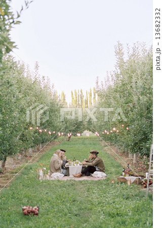 An apple orchard in Utah. Group of people having a picnic on the grass. 13682332