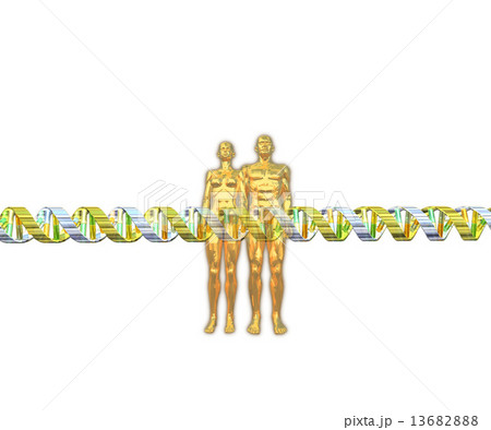 人類の遺伝子配列のイメージ 人類の遺伝子配列のイメージ 13682888