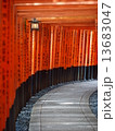 Fushimi Inari Taisha 13683047