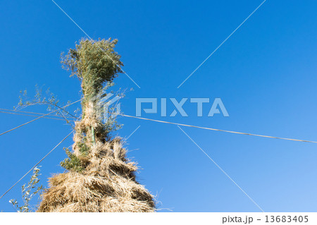 どんど焼き（茨城県取手市のあわんとり）１０ 13683405