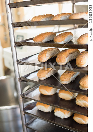 Bread rolls on trays of shelf Bread rolls on trays of shelf 13683953