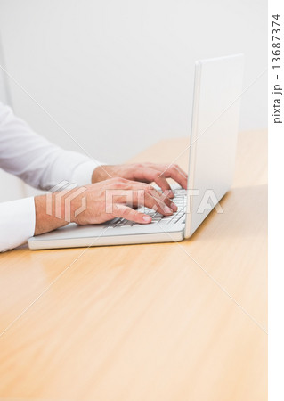 Businessman using his laptop Businessman using his laptop 13687374