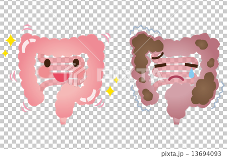 Healthy large intestine constipation colon 13694093