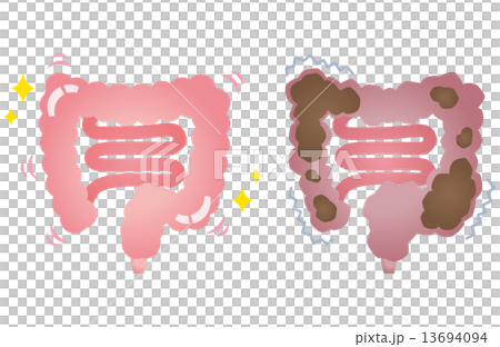 Healthy large intestine constipation colon 13694094