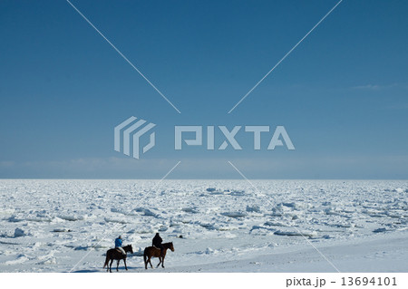 流氷に覆われたオホーツク海　（網走市）　 13694101