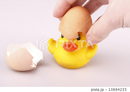 Yellow small plastic duck with egg isolated on a white backgroun Yellow small plastic duck with egg isolated on a white backgroun 13694235