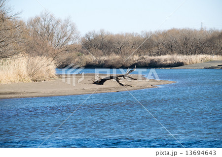 小貝川2 小貝川2 13694643