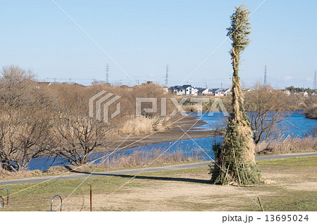 どんど焼きのある風景（茨城県取手市の小貝川土手）２ 13695024