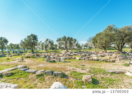 ウンム・カイス(ヨルダン北部) 13700303