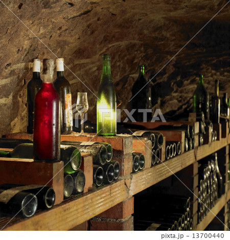 wine cellar, Bily sklep rodiny Adamkovy, Chvalovice, Czech Repub 13700440