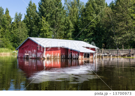 Abandoned old red shad 13700973