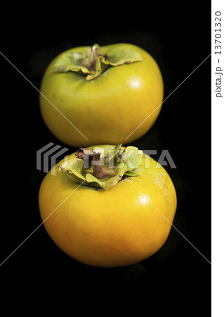 Persimmons on black 13701320