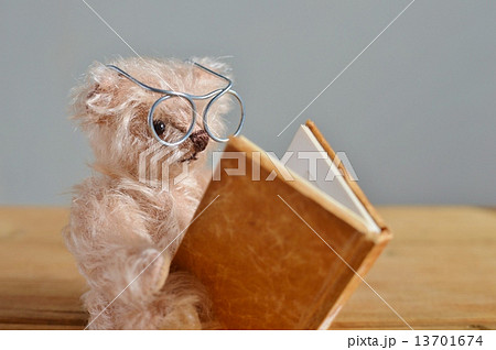 読書 読書 13701674