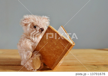 読書 読書 13701676