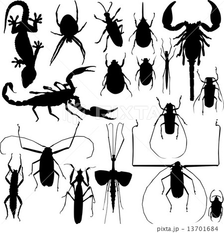 Insect silhouettes vector 13701684