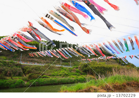 小櫃川鯉のぼりフェスティバル 13702229