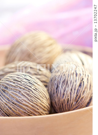 Close up Of Suicide Tree. 13702247