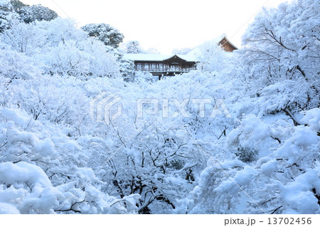 京都 雪の東福寺 洗玉澗 京都 雪の東福寺 洗玉澗 13702456