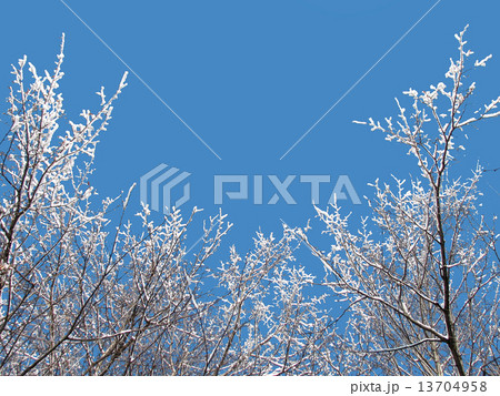 Winter sky 13704958