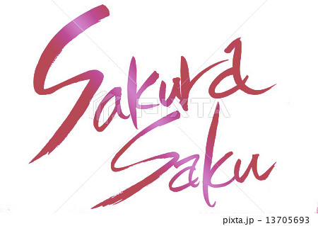 筆文字 Sakura Saku 13705693