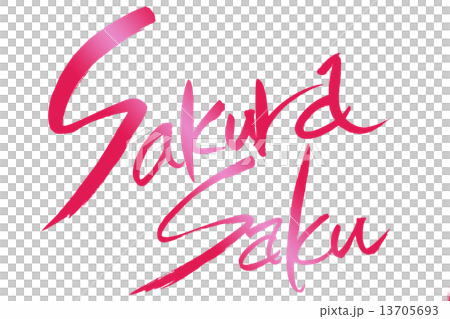 筆文字 Sakura Saku 13705693