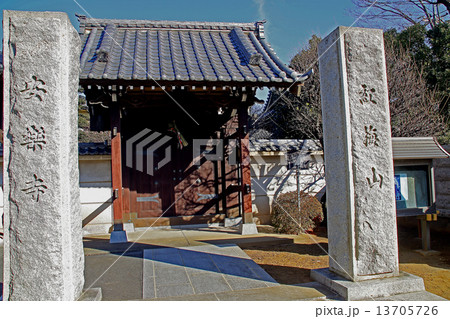 安楽寺(東京j・板橋) 安楽寺(東京j・板橋) 13705726